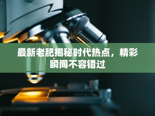 最新老肥揭秘時代熱點，精彩瞬間不容錯過