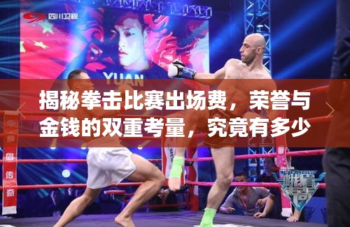 揭秘拳擊比賽出場(chǎng)費(fèi)，榮譽(yù)與金錢(qián)的雙重考量，究竟有多少？