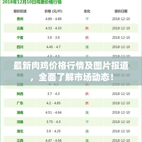 最新肉雞價格行情及圖片報道，全面了解市場動態(tài)！