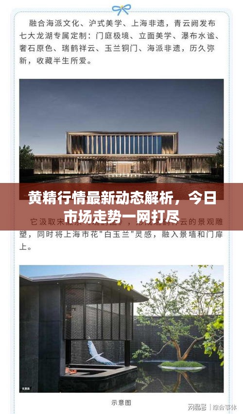 黃精行情最新動(dòng)態(tài)解析，今日市場(chǎng)走勢(shì)一網(wǎng)打盡